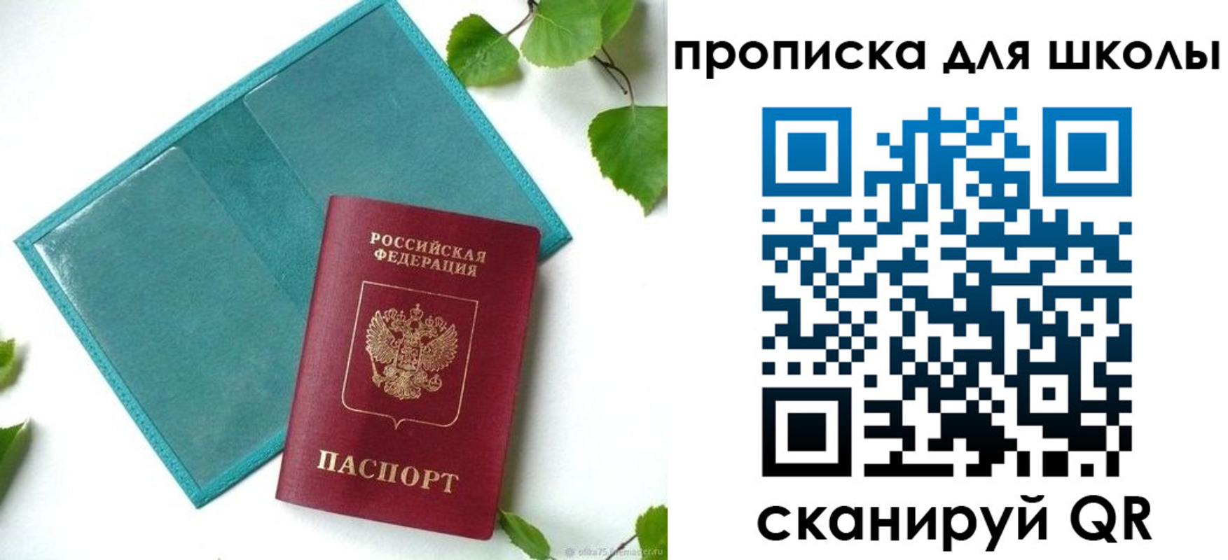 прописка в Костомукше
