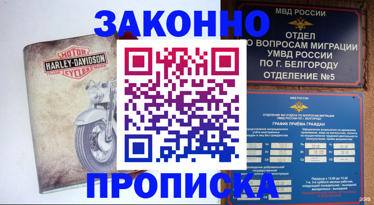 прописка для школы в Костомукше